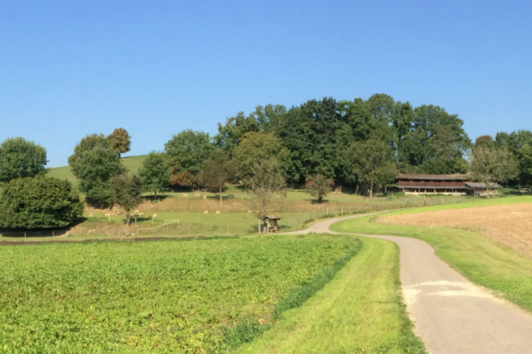 Auf dem Weg zum Gehege Jura