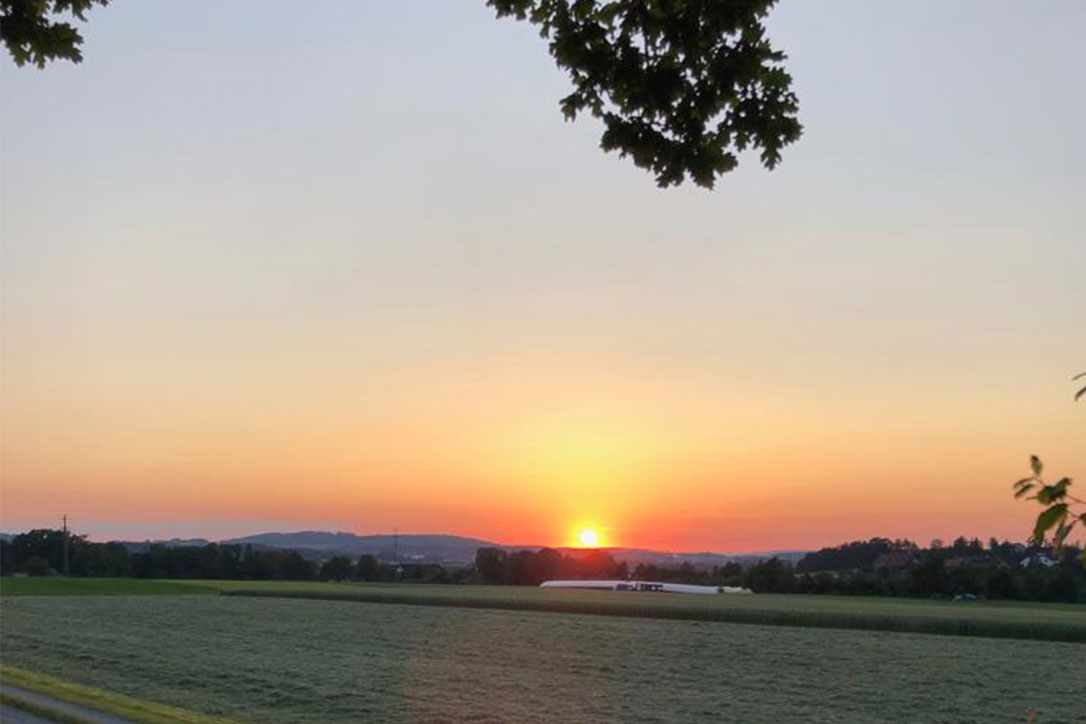 Sonnenuntergang beim Tannenhof