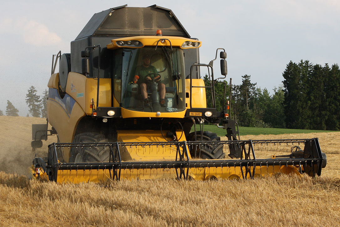 Mähdrescher NewHolland von vorne